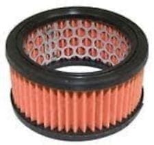 Air Filter | Echo (CS6702) (A226000100)